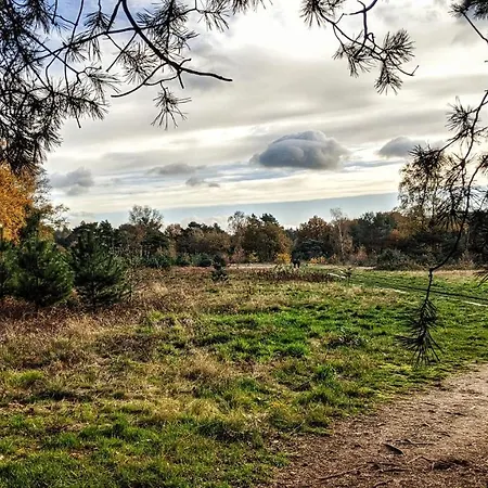 Chalet Op De Veluwe # Kastanje *
