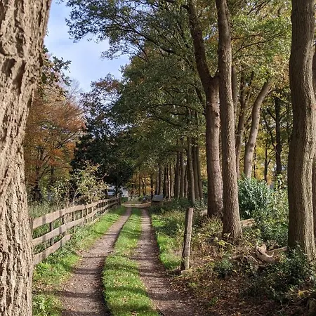 Chalé Chalet Op De Veluwe # Kastanje *