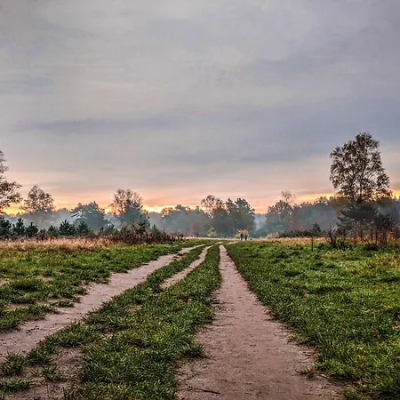Chalet Op De Veluwe # Kastanje *