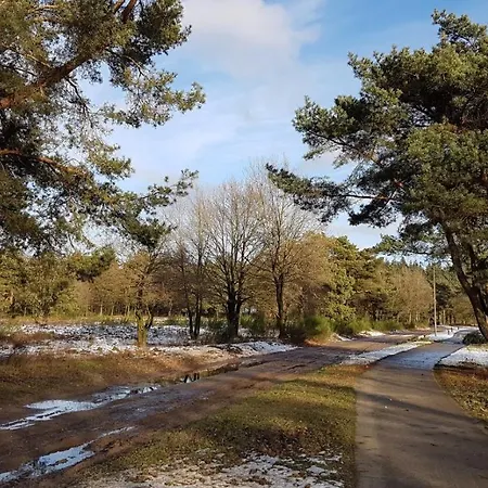 Chalet Op De Veluwe # Kastanje *