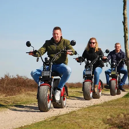 Chalet Op De Veluwe # Kastanje Chalet Putten