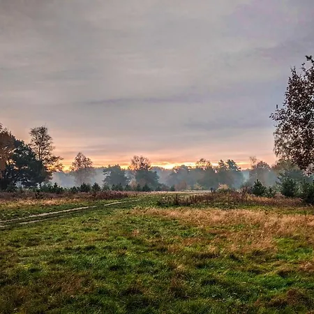 Chalet Op De Veluwe # Kastanje *