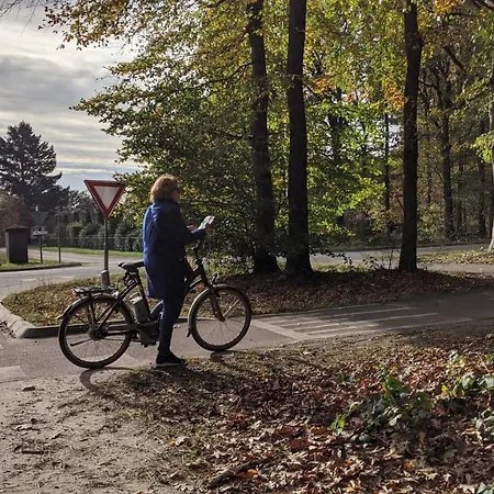 Chalet Op De Veluwe # Kastanje * Putten