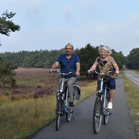 Chalé Chalet Op De Veluwe # Kastanje *