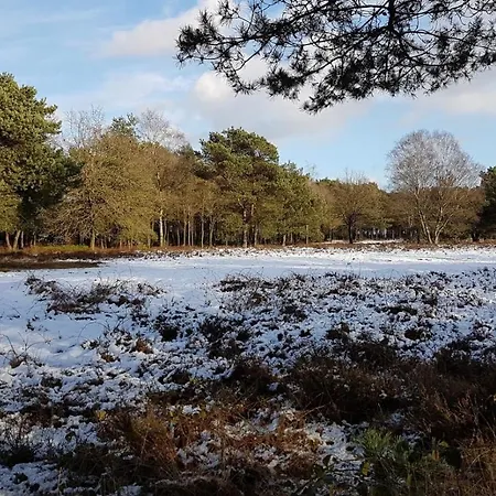 Chalet Op De Veluwe # Kastanje * Putten