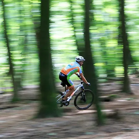 Chalet Op De Veluwe # Kastanje *
