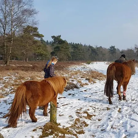 Chalet Op De Veluwe # Kastanje Chalet Putten
