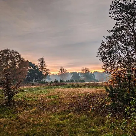 Chalé Chalet Op De Veluwe # Kastanje