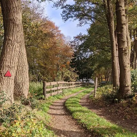 Chalet Op De Veluwe # Kastanje *