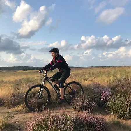 Chalé Chalet Op De Veluwe # Kastanje