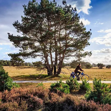 Chalet Op De Veluwe # Kastanje Chalet